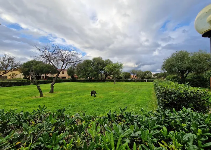 Apartament Domo De Mare *